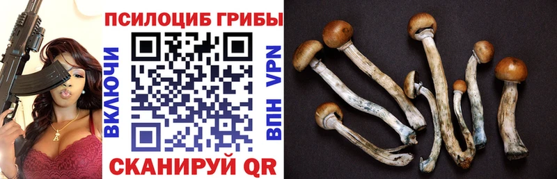 Галлюциногенные грибы GOLDEN TEACHER Камызяк