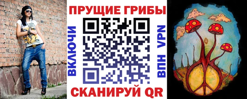 Галлюциногенные грибы мицелий omg ССЫЛКА Камызяк